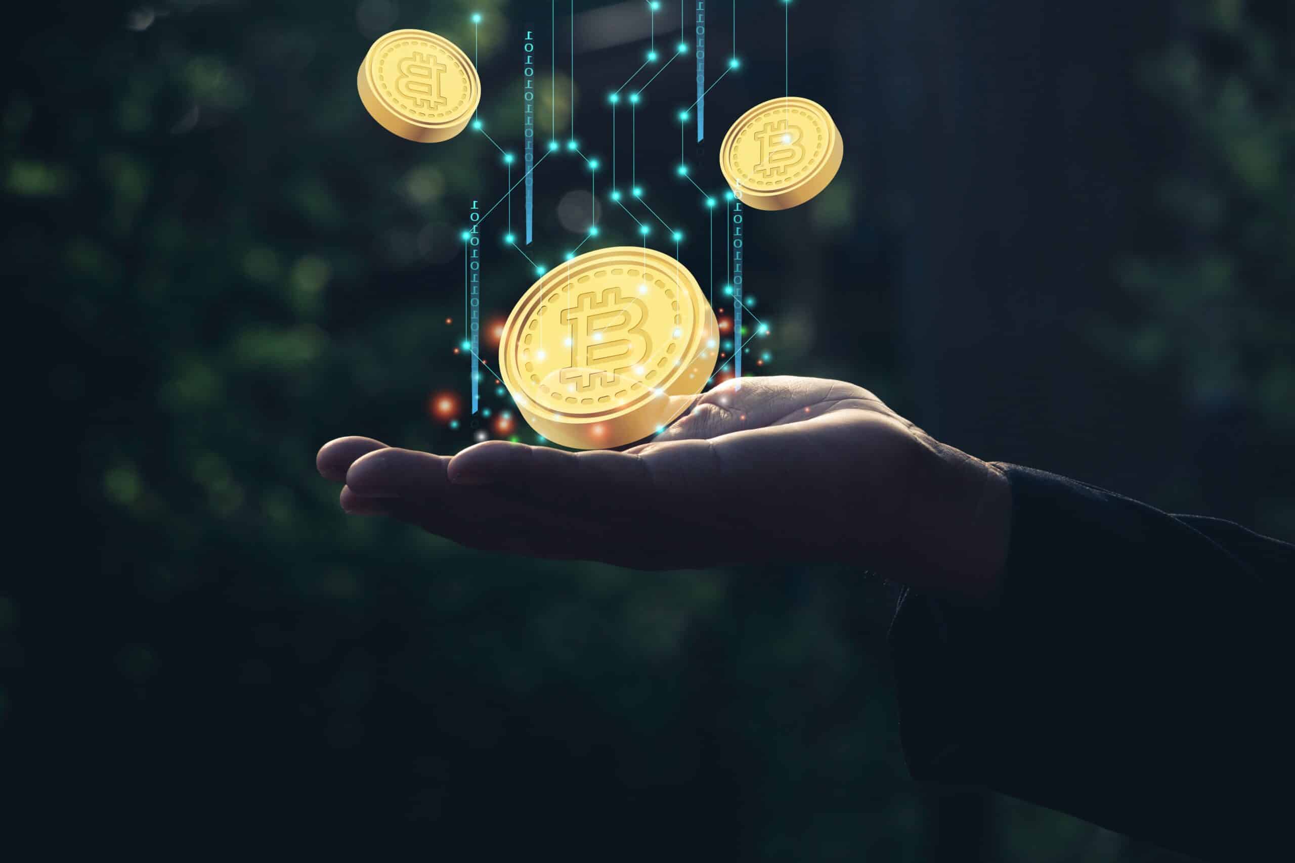 What does Do Your Own Research (DYOR) mean in crypto? - SMSF Connect